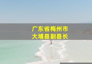 广东省梅州市大埔县副县长