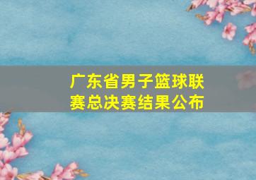 广东省男子篮球联赛总决赛结果公布