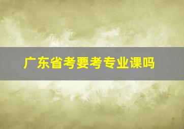 广东省考要考专业课吗