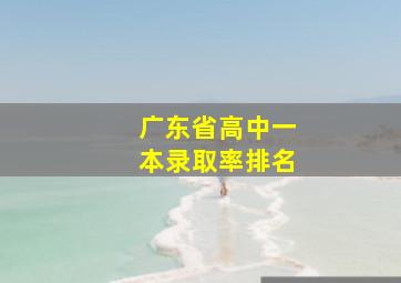 广东省高中一本录取率排名