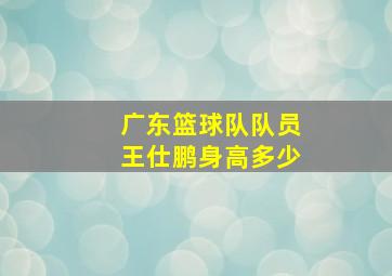 广东篮球队队员王仕鹏身高多少