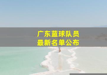 广东蓝球队员最新名单公布