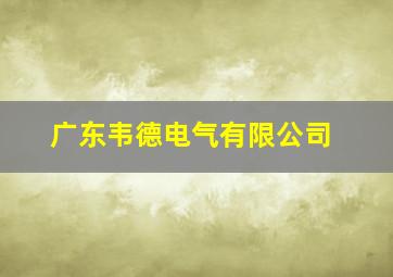 广东韦德电气有限公司