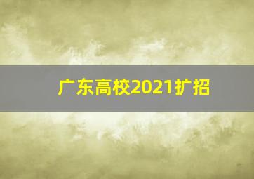 广东高校2021扩招