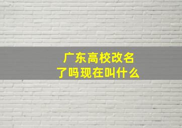 广东高校改名了吗现在叫什么