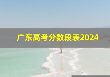 广东高考分数段表2024