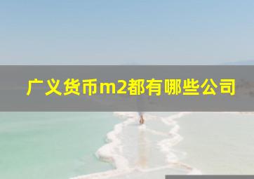 广义货币m2都有哪些公司