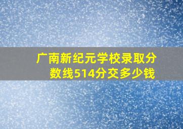 广南新纪元学校录取分数线514分交多少钱