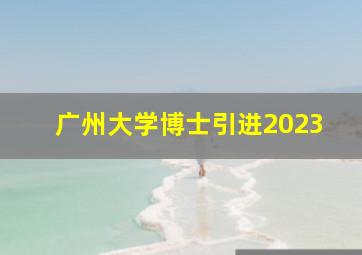 广州大学博士引进2023