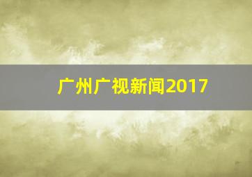 广州广视新闻2017