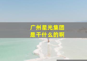 广州星光集团是干什么的啊