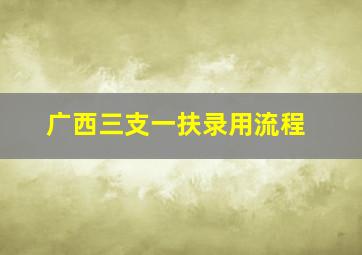 广西三支一扶录用流程