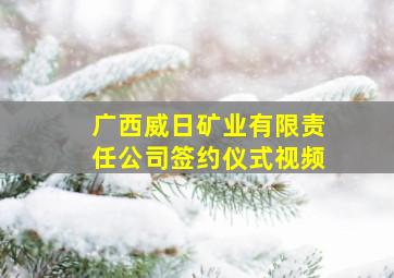 广西威日矿业有限责任公司签约仪式视频