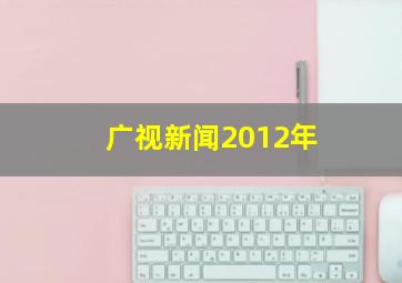 广视新闻2012年