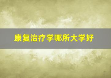 康复治疗学哪所大学好