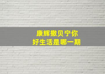 康辉撒贝宁你好生活是哪一期