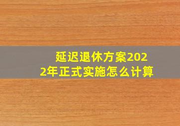 延迟退休方案2022年正式实施怎么计算