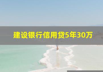 建设银行信用贷5年30万