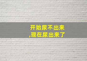 开始尿不出来,现在尿出来了