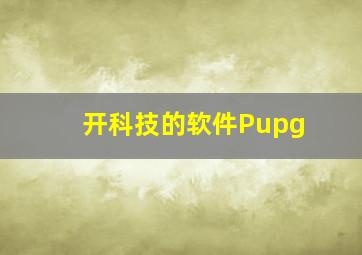 开科技的软件Pupg