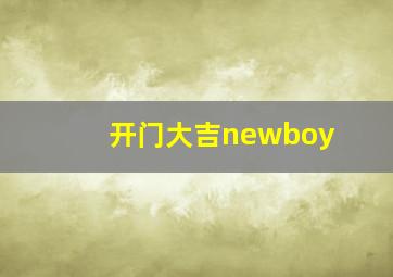 开门大吉newboy