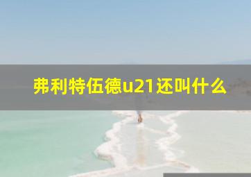 弗利特伍德u21还叫什么