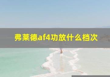 弗莱德af4功放什么档次