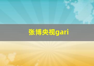 张博央视gari