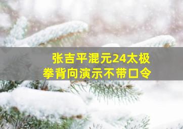 张吉平混元24太极拳背向演示不带口令