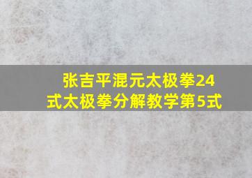 张吉平混元太极拳24式太极拳分解教学第5式