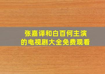 张嘉译和白百何主演的电视剧大全免费观看