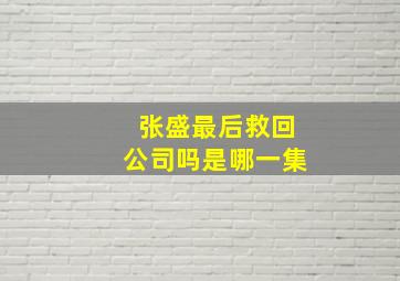 张盛最后救回公司吗是哪一集