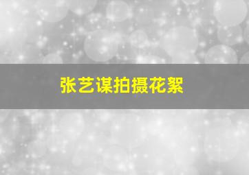 张艺谋拍摄花絮