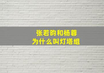 张若昀和杨蓉为什么叫灯塔组