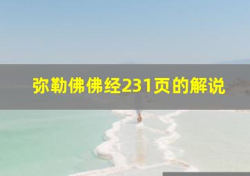 弥勒佛佛经231页的解说