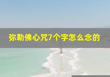 弥勒佛心咒7个字怎么念的