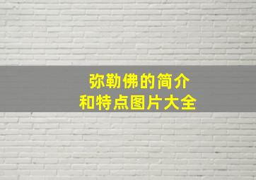 弥勒佛的简介和特点图片大全