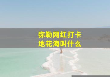 弥勒网红打卡地花海叫什么