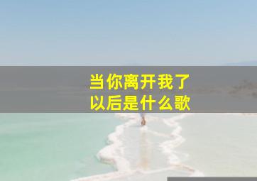 当你离开我了以后是什么歌