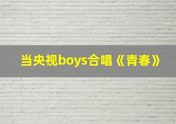 当央视boys合唱《青春》