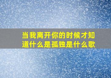 当我离开你的时候才知道什么是孤独是什么歌