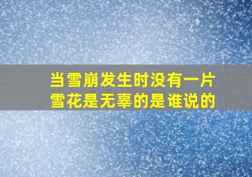 当雪崩发生时没有一片雪花是无辜的是谁说的