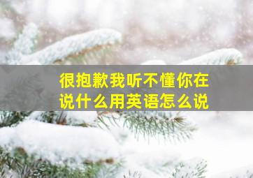 很抱歉我听不懂你在说什么用英语怎么说