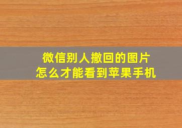 微信别人撤回的图片怎么才能看到苹果手机