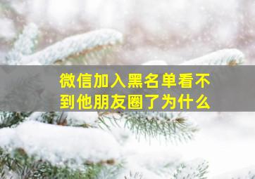 微信加入黑名单看不到他朋友圈了为什么