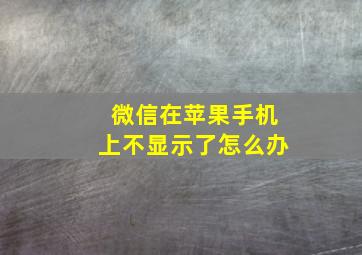 微信在苹果手机上不显示了怎么办