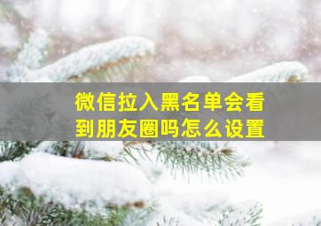 微信拉入黑名单会看到朋友圈吗怎么设置