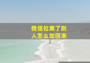 微信拉黑了别人怎么加回来