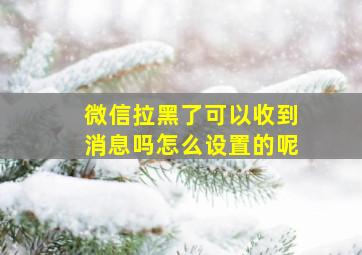 微信拉黑了可以收到消息吗怎么设置的呢