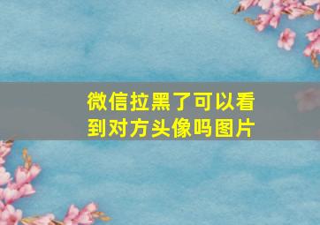 微信拉黑了可以看到对方头像吗图片